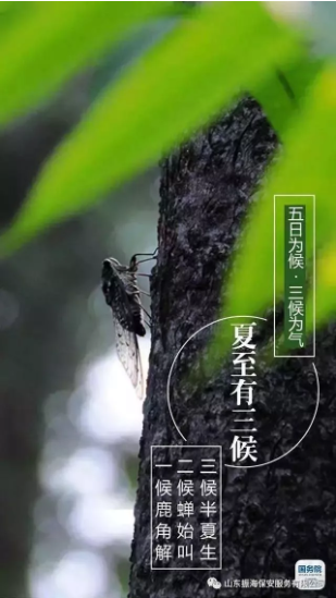 QQ截圖20190621114341.png